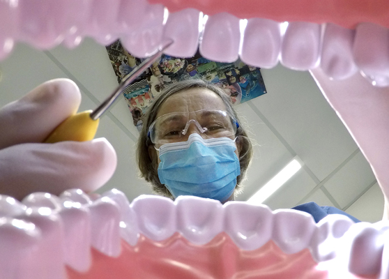 A dentist looking into a set of false teeth, from above