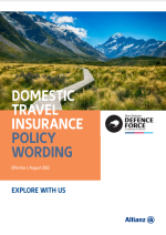 Domestic Policy Wording